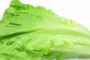 生菜坐月子可以吃吗