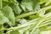 芹菜和鸡肉可以一起吃吗 芹菜和鸡肉一起吃会怎样