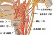 割喉如何急救