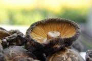 降脂降压的食物有哪些 这6种食物要多吃
