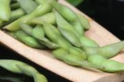 毛豆是黄豆吗 毛豆和黄豆有什么区别