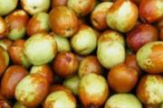 冬季补血补气吃什么好 9种食物吃起来