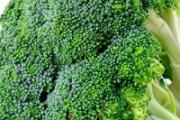 西兰花能和海苔一起吃吗 海苔不能和什么东西吃