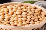 黄豆熬汤有什么好处 黄豆和什么煲汤