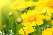 处暑开始，和酷热说再见，直面“秋乏”