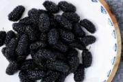 桑葚干和什么一起泡补肾效果好 桑葚干泡水注意事项
