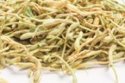 五类人不能喝金银花茶 金银花伤肾还是补肾