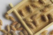 苍耳子治疗鼻炎偏方