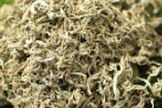 艾草放床头有什么作用 艾草放床哪里最好
