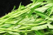 空心菜的营养价值及食用方法