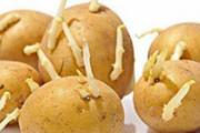 孕妇吃土豆好吗