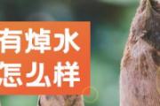春笋没熟吃了会怎么样 春笋煮多久熟