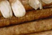 牛蒡根的功效与作用