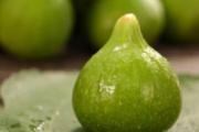 新鲜无花果皮可以吃吗 吃无花果皮的注意事项