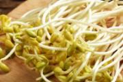 黄豆芽为什么会变绿 黄豆芽变绿了可以吃吗