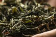 茶叶泡多久喝最好 茶叶泡几个小时不能喝