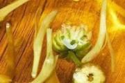 金银花泡水敷脸可以祛痘吗 金银花和什么搭配祛痘