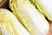 大白菜发苦可以吃吗 大白菜需要焯水吗