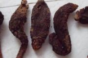 肉苁蓉怎么吃 肉苁蓉药膳