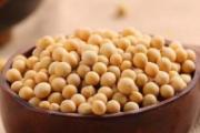 尿酸高为什么不能吃豆制品
