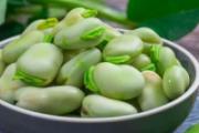 蚕豆的功效与作用禁忌 蚕豆是酸性食物还是碱性食物