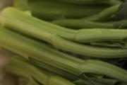 木耳菜不能和什么一起吃 木耳菜和什么一起吃好