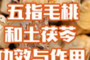 五指毛桃和土茯苓功效与作用 五指毛桃和土茯苓可以天天喝吗