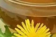 蒲公英泡水伤胃吗 蒲公英怎么喝不伤胃伤脾