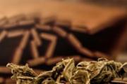 红艾草和白艾草哪个好 艾草鲜的好还是陈的好