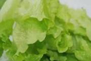 生菜放久了可以吃吗