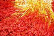 藏红花有什么用处 藏红花有十大神奇功效