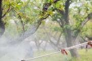 杀虫剂多久毒性能散完 喷了杀虫剂床还能睡吗
