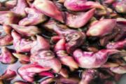 菱角生的和熟的哪个好保存 生菱角能冷冻保存吗