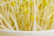 绿豆芽和鸡蛋能一起吃吗 绿豆芽有什么功效