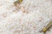夏天大米生虫怎么办 大米生虫还能吃吗