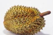 盘点六种不宜吃榴莲的人群