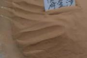 海金沙的功效与作用