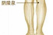 阴陵泉按压痛说明什么 阴陵泉的功效与作用