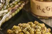 石斛吃了对骨头有好处吗 吃铁皮石斛有什么好处