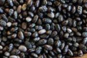 奇亚籽的功效与作用能减肥吗 奇亚籽是什么东西能帮助减肥