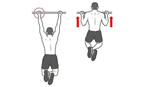 引体向上可以每天练吗