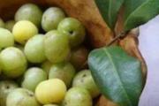 余甘果不能和什么一起吃 余甘果哪些人不能食用