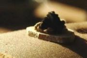 盗汗可以艾灸吗 盗汗艾灸那里效果最好