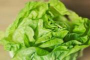 生菜可以放冰箱吗 生菜放冰箱可以放多久