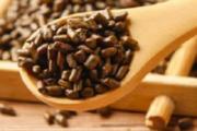 决明子茶补肾吗 决明子茶能隔夜喝吗