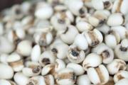 春天吃什么祛湿气 6种食物有奇效