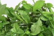 吃什么养护头发 4种食物吃起来