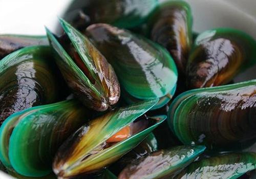 淡菜绿色的可以吃吗