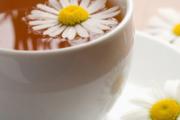 孕妇能喝菊花茶吗