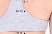 志室的准确位置图 志室的准确位置图作用
